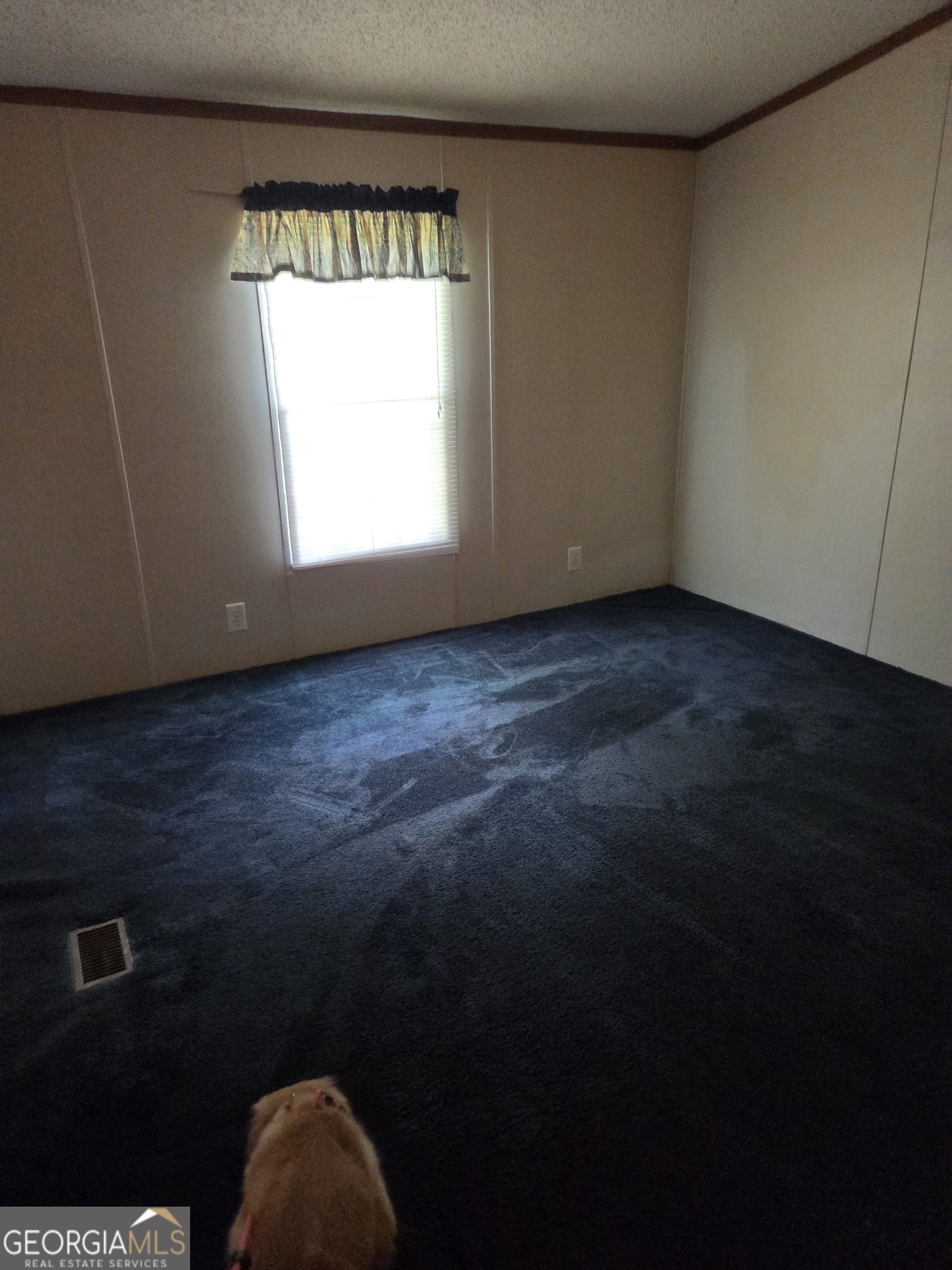 453 Lake Drive Property Photo 17