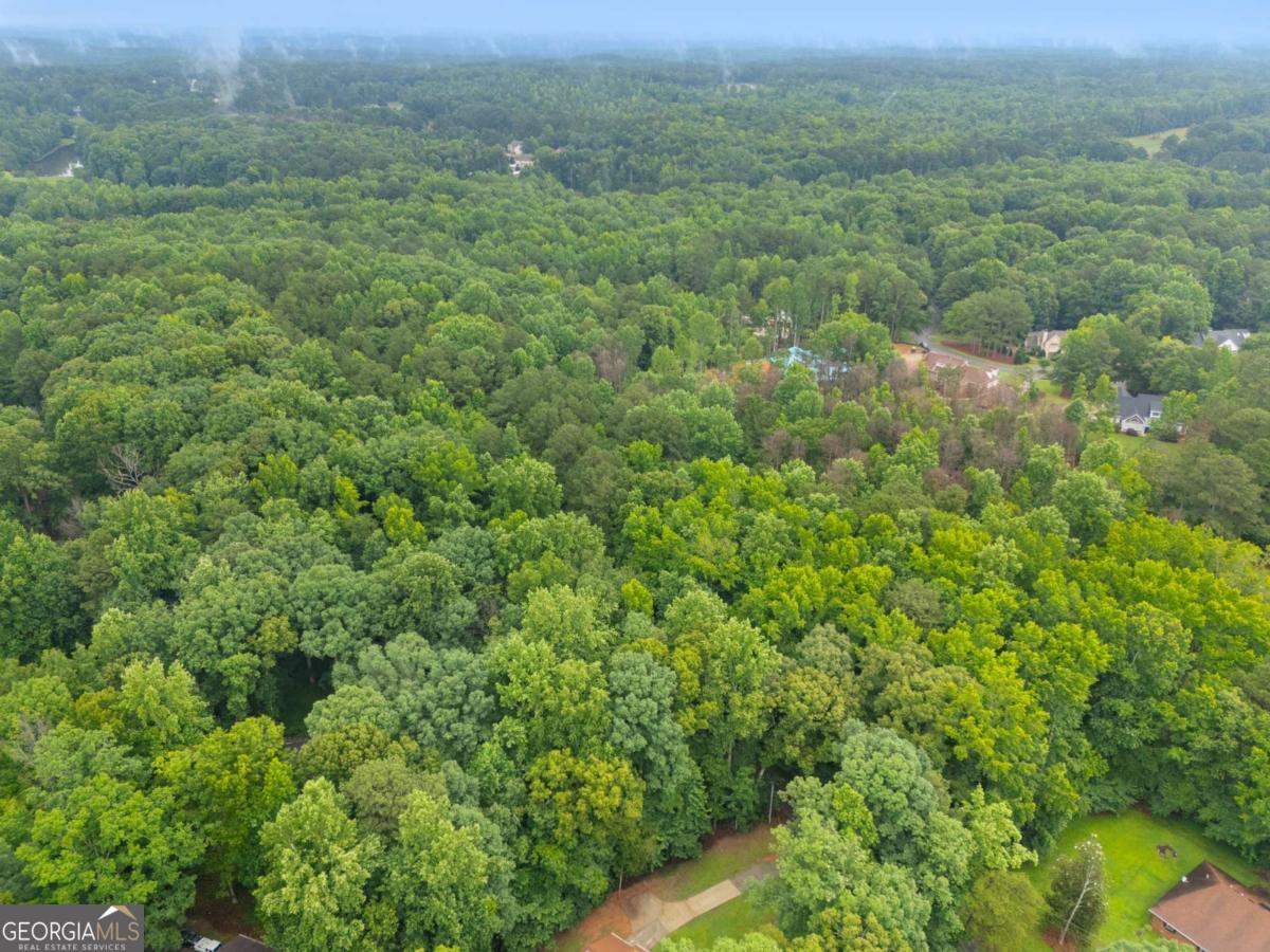 151 Melvin Phillips Road Property Photo 14