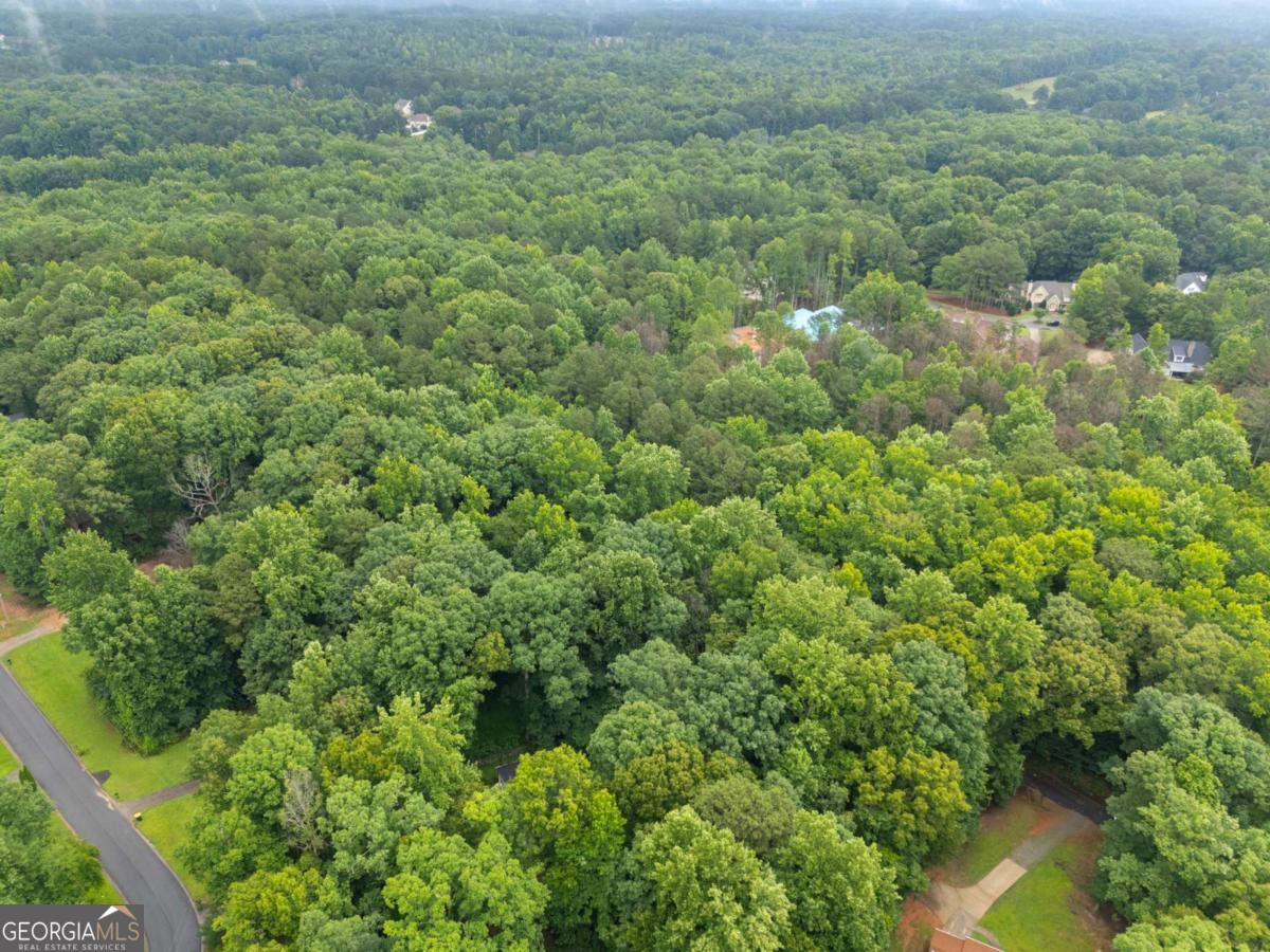 151 Melvin Phillips Road Property Photo 16