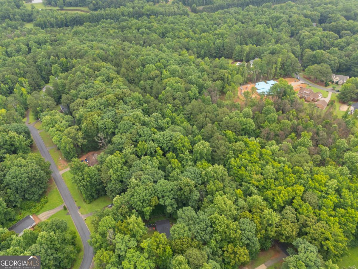 151 Melvin Phillips Road Property Photo 17
