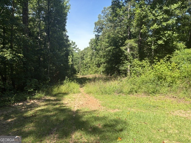 110 Patty Cake Lane Property Photo 17