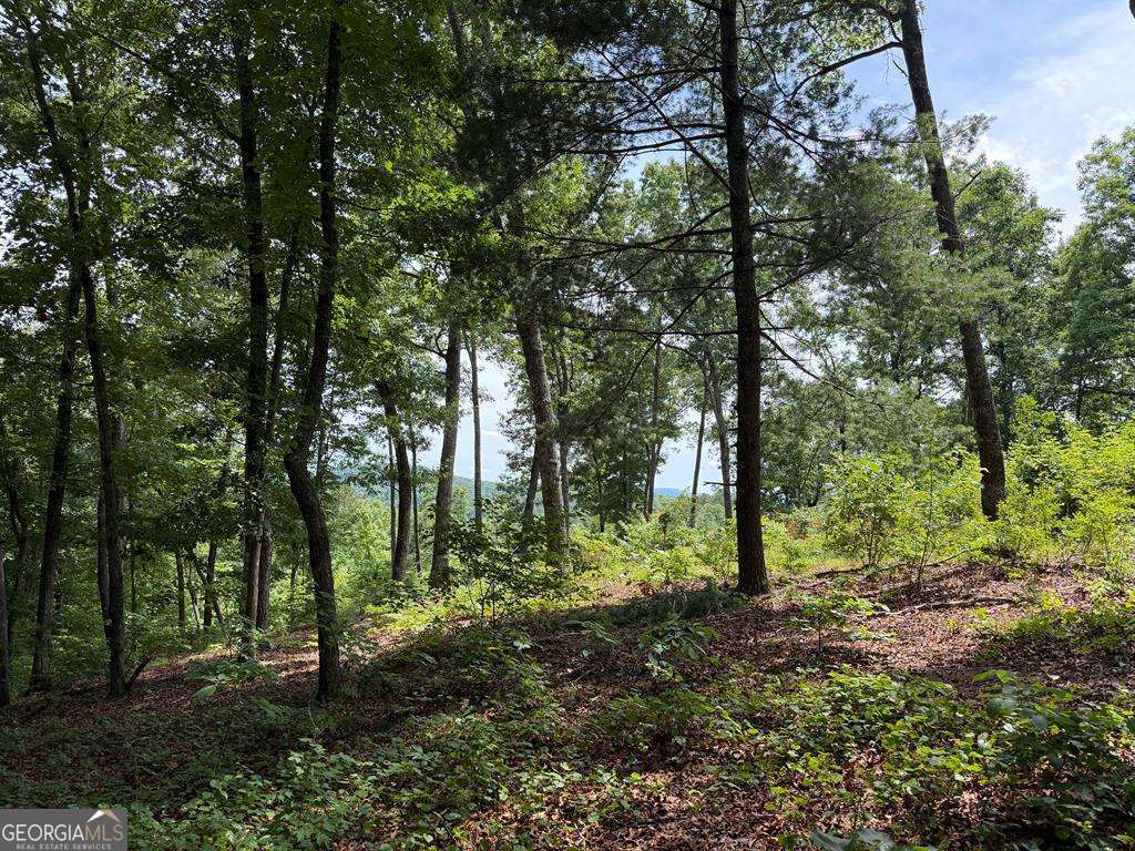 Lot 20 Lake Top Lane # 20 Property Photo 1