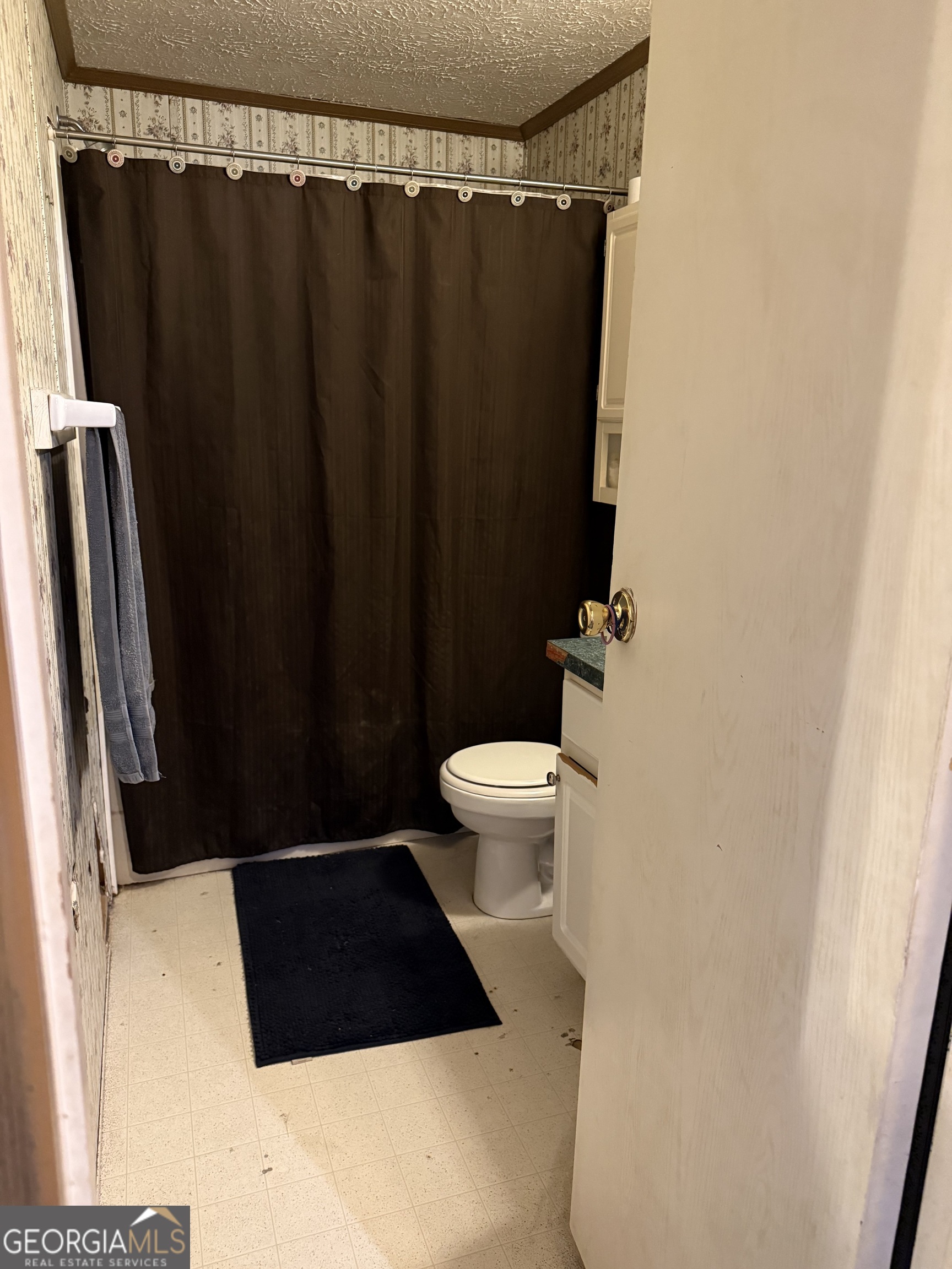 2535 Ga Highway 80 Property Photo 14