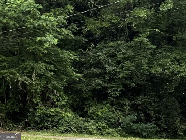 718 Alabama Street Property Photo 1