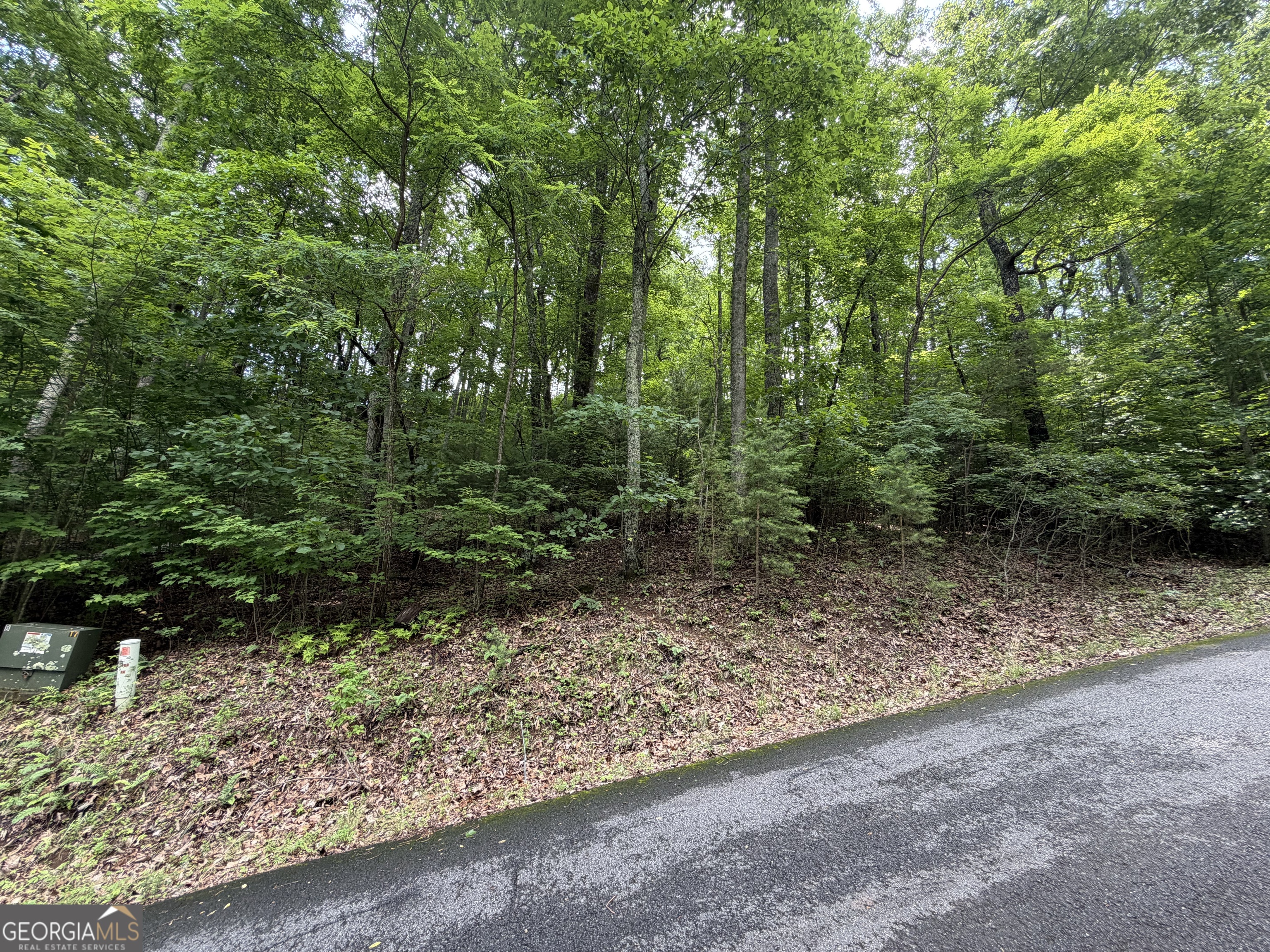 Lot 7 Mill Ridge Road Property Photo 3