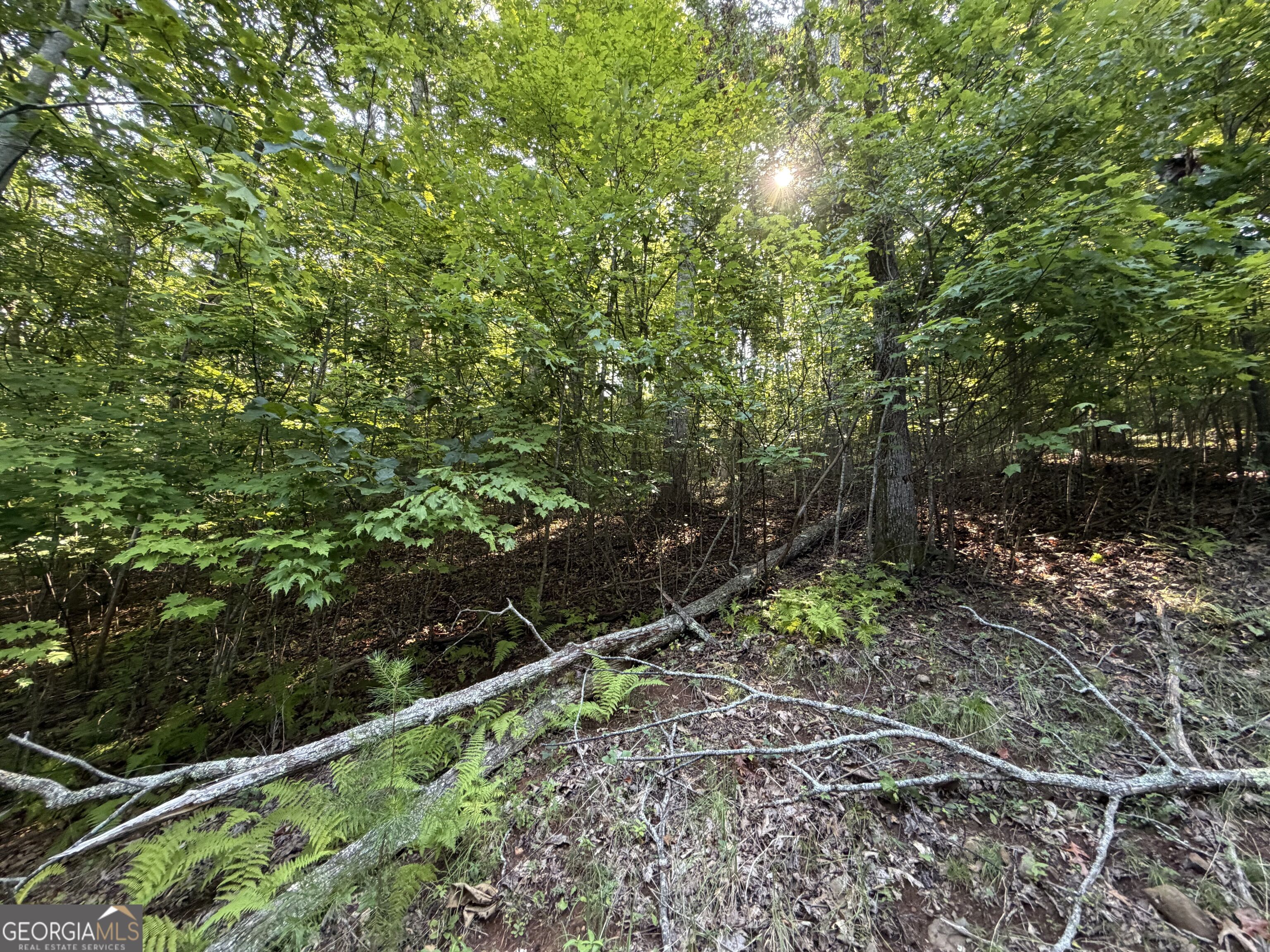 Lot 7 Mill Ridge Road Property Photo 4
