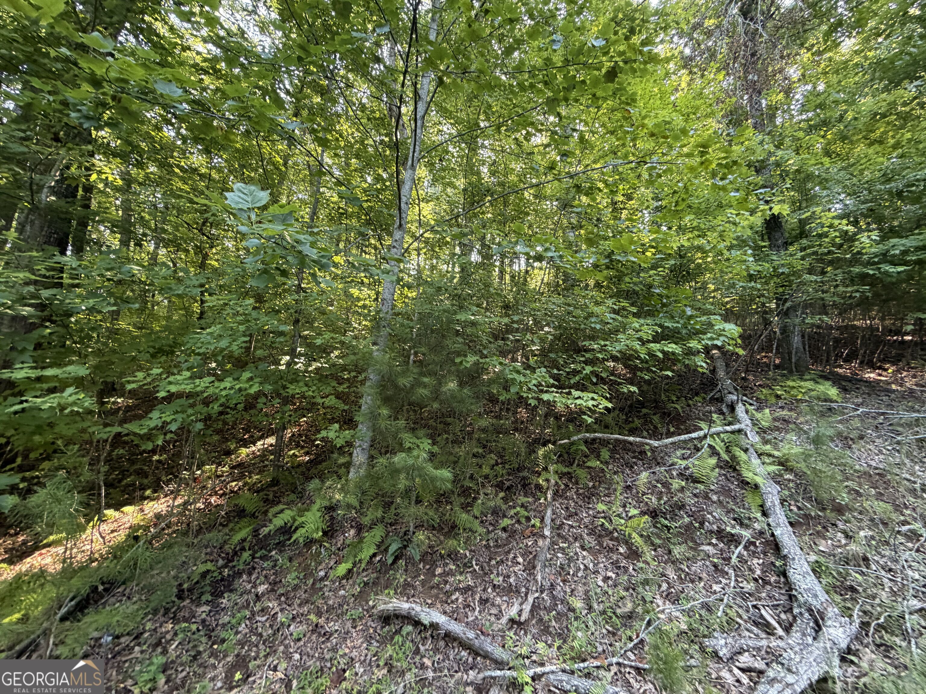 Lot 7 Mill Ridge Road Property Photo 5