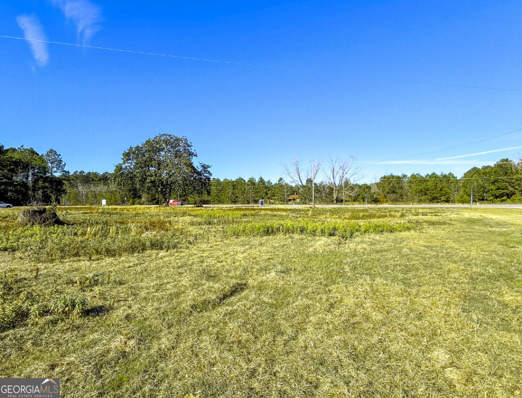 19477 Us Highway 80 E Property Photo 3