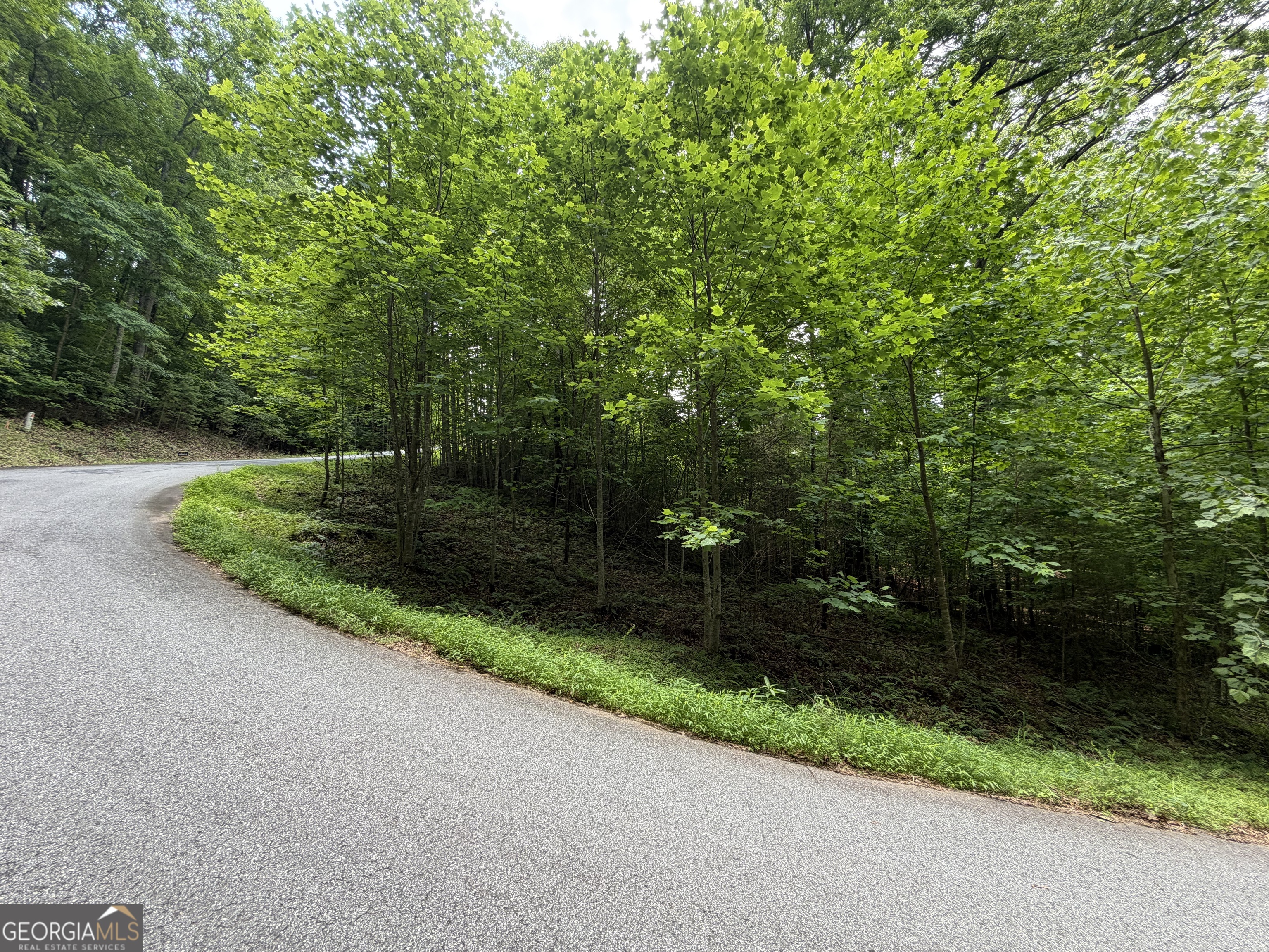 Lot 19 Mill Ridge Road Property Photo 1