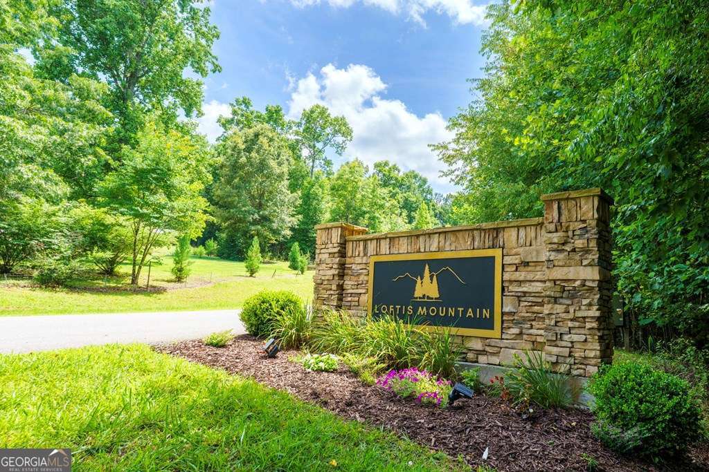 Lot 20 Loftis Mountain Property Photo 3