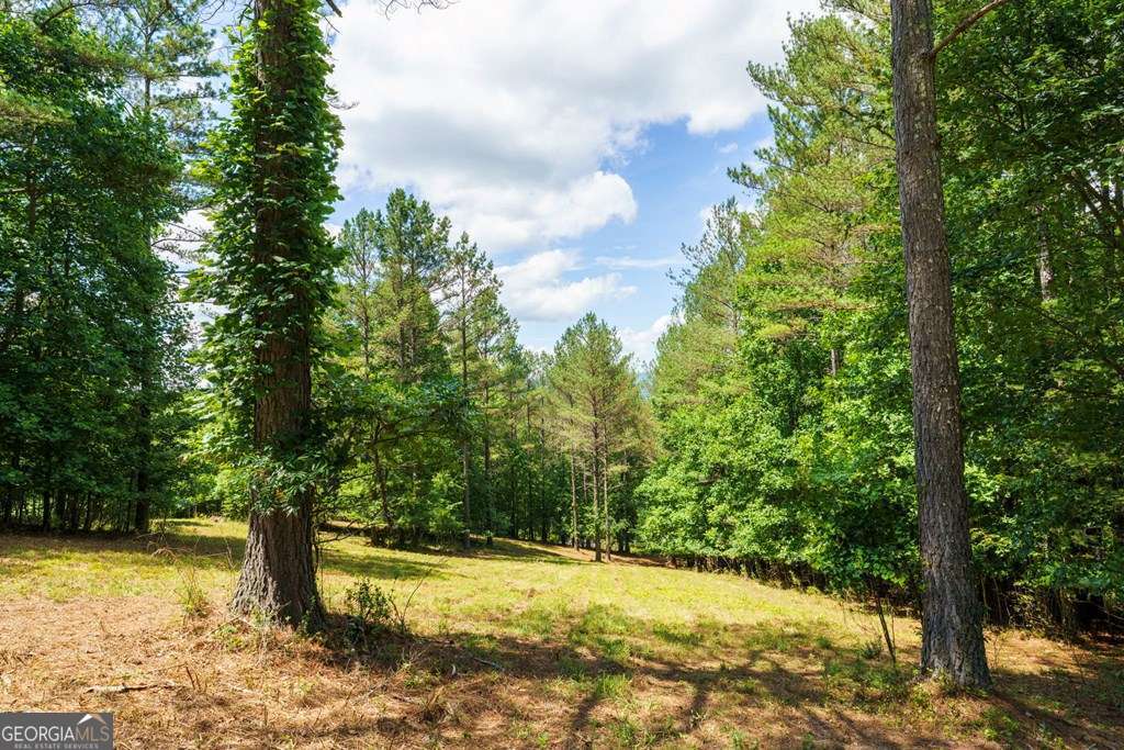 Lot 20 Loftis Mountain Property Photo 4