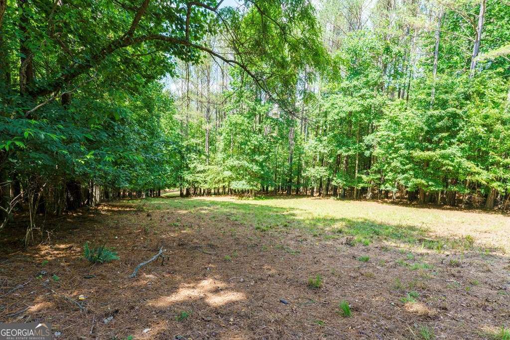 Lot 20 Loftis Mountain Property Photo 5