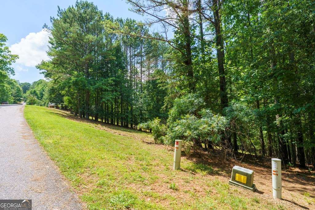 Lot 20 Loftis Mountain Property Photo 6