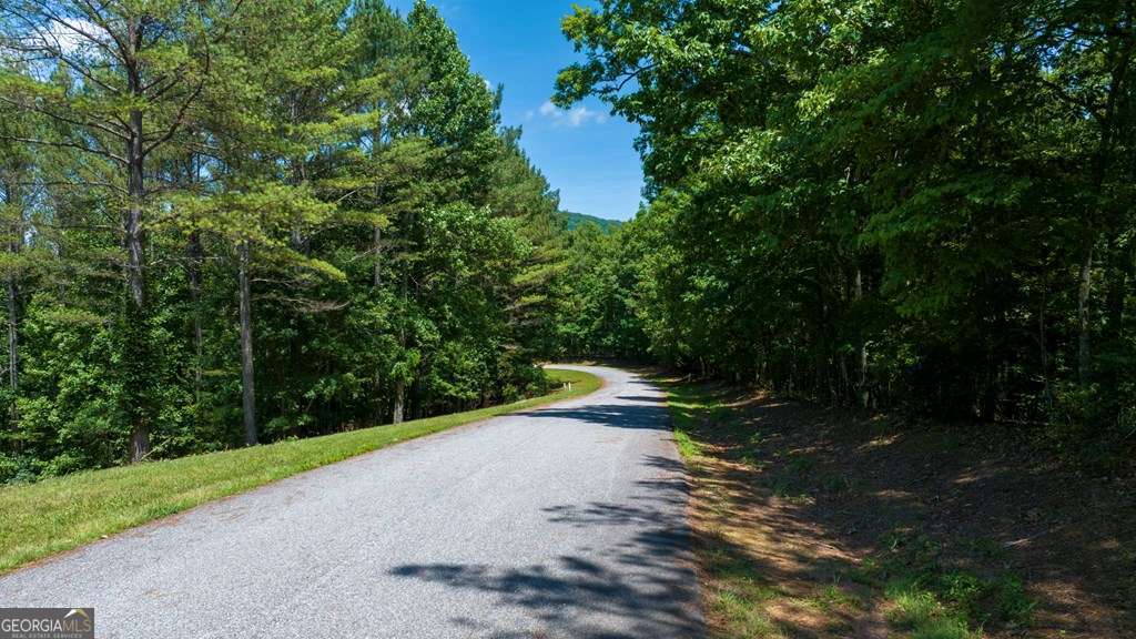 Lot 20 Loftis Mountain Property Photo 8