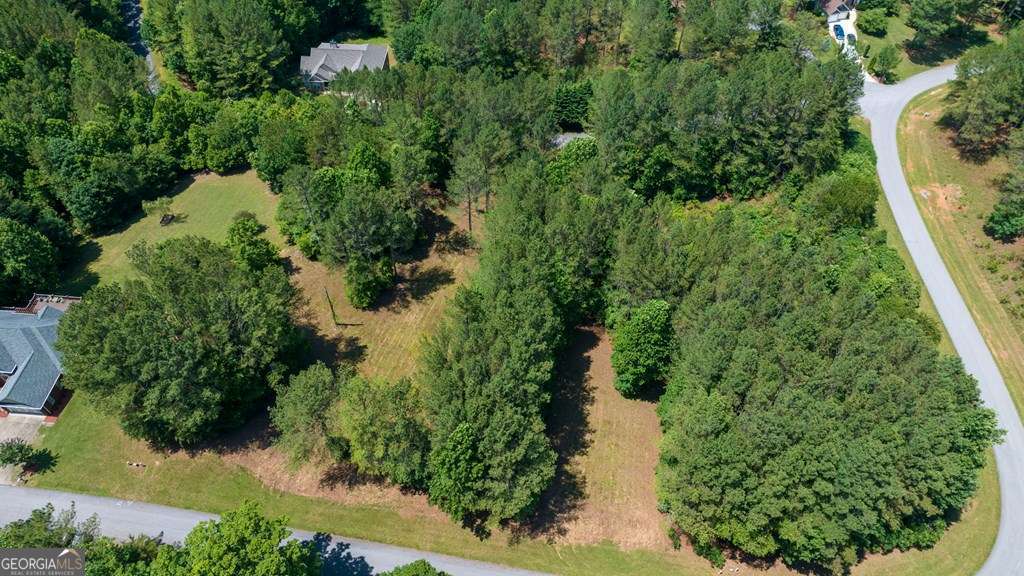 Lot 20 Loftis Mountain Property Photo 10