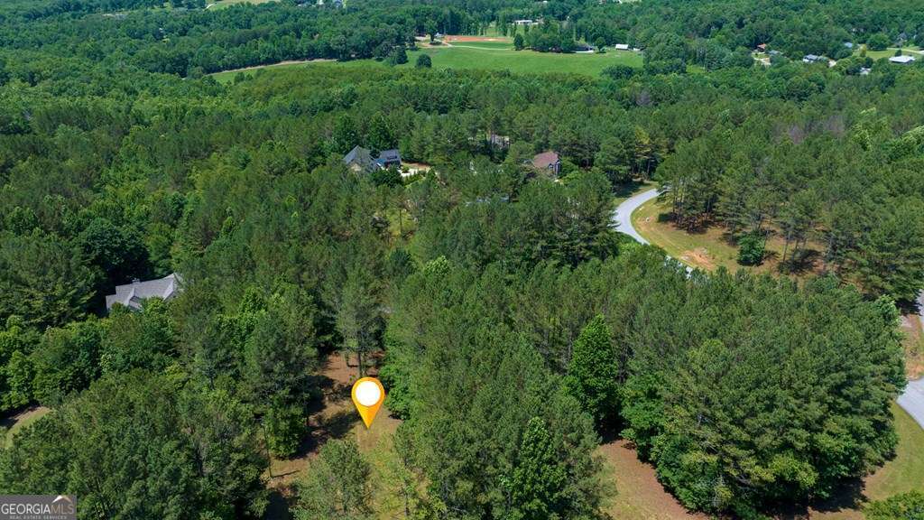 Lot 20 Loftis Mountain Property Photo 12