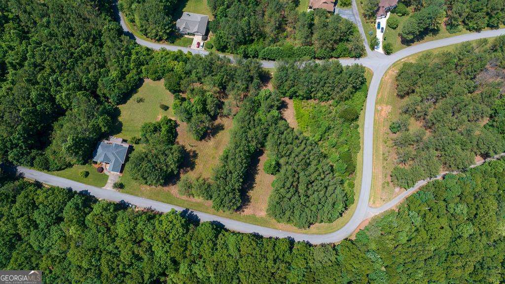 Lot 21 Loftis Mountain Property Photo 1