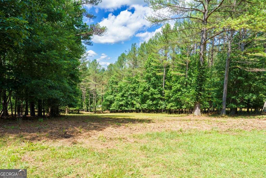Lot 21 Loftis Mountain Property Photo 7