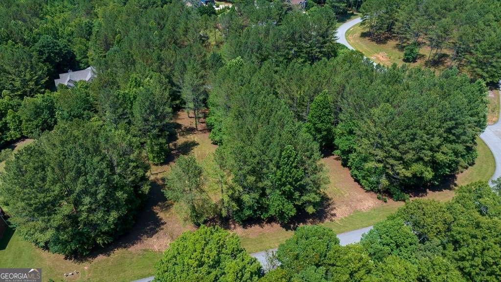 Lot 21 Loftis Mountain Property Photo 11