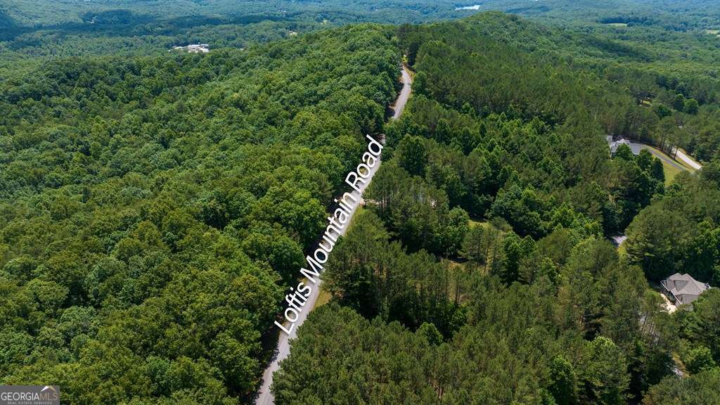 Lot 21 Loftis Mountain Property Photo 14