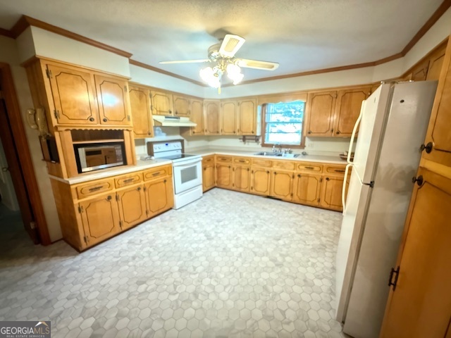 523 Parkdale Drive Property Photo 10