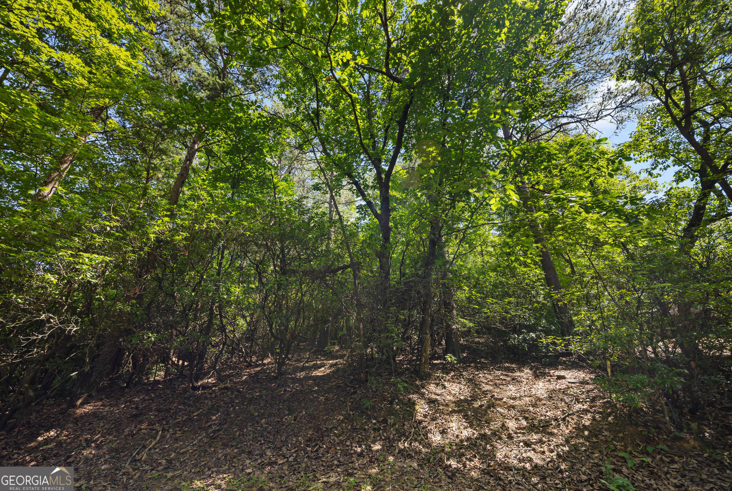 196 Cinnamon Fern Lane Property Photo 2