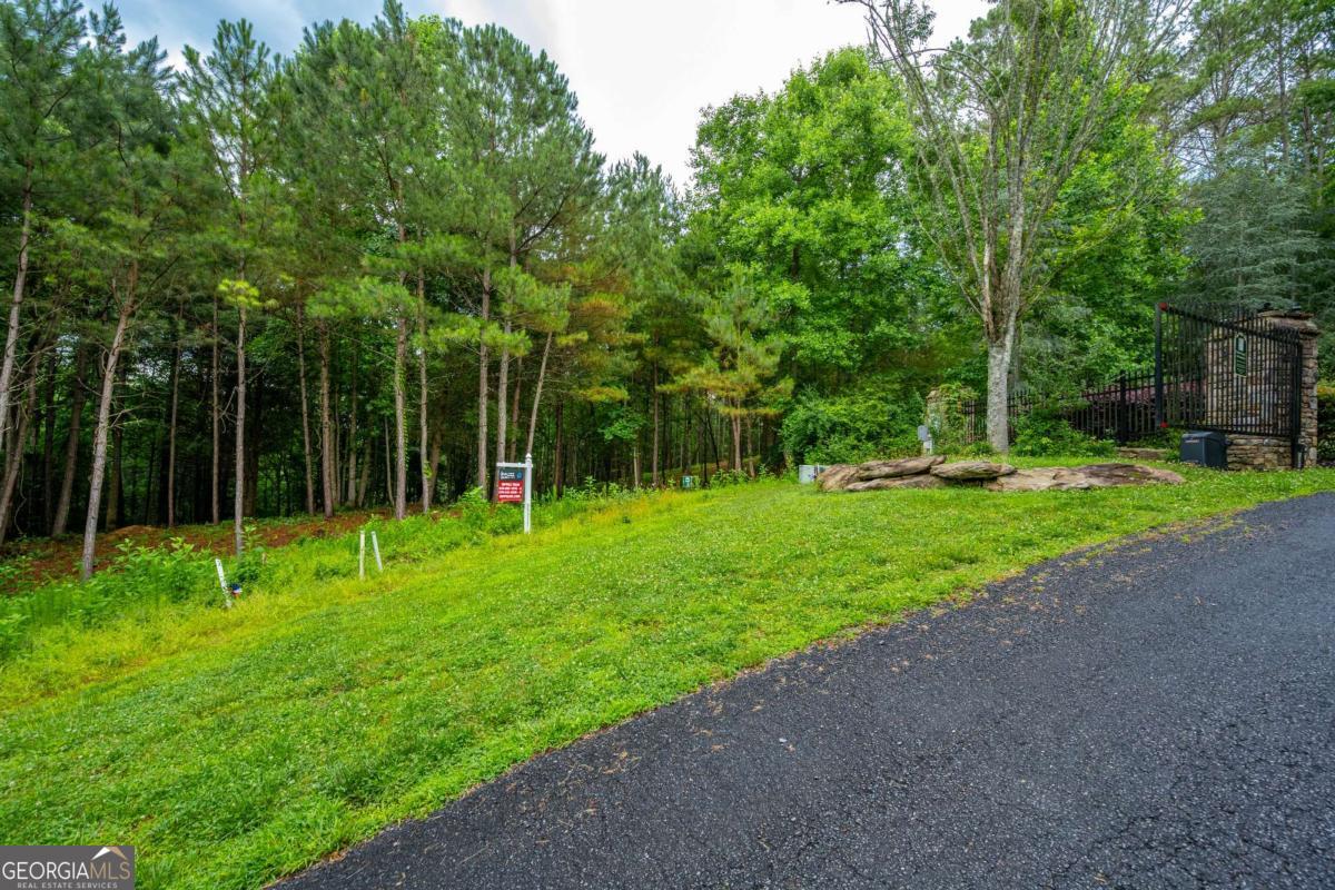 0 Roaring Forks Lane Property Photo 2