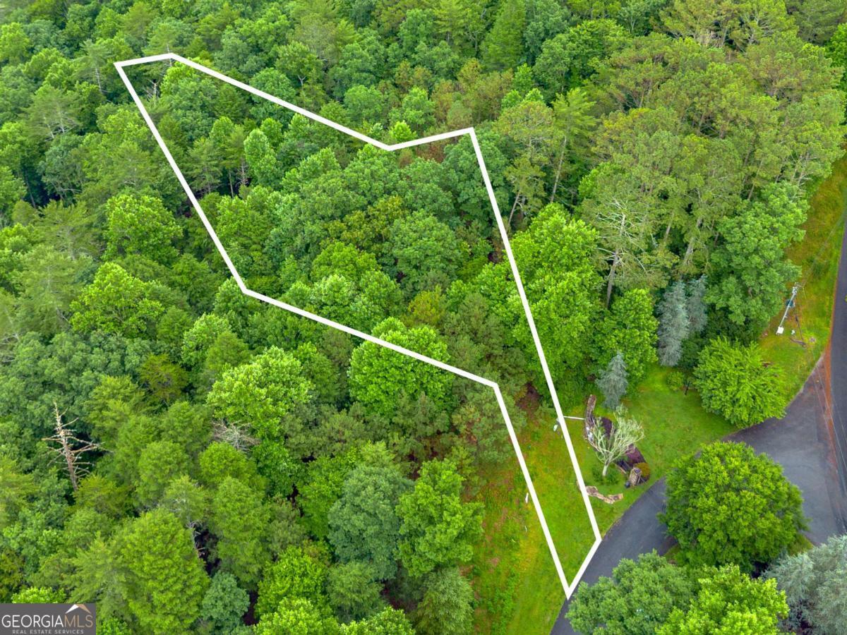 0 Roaring Forks Lane Property Photo 12