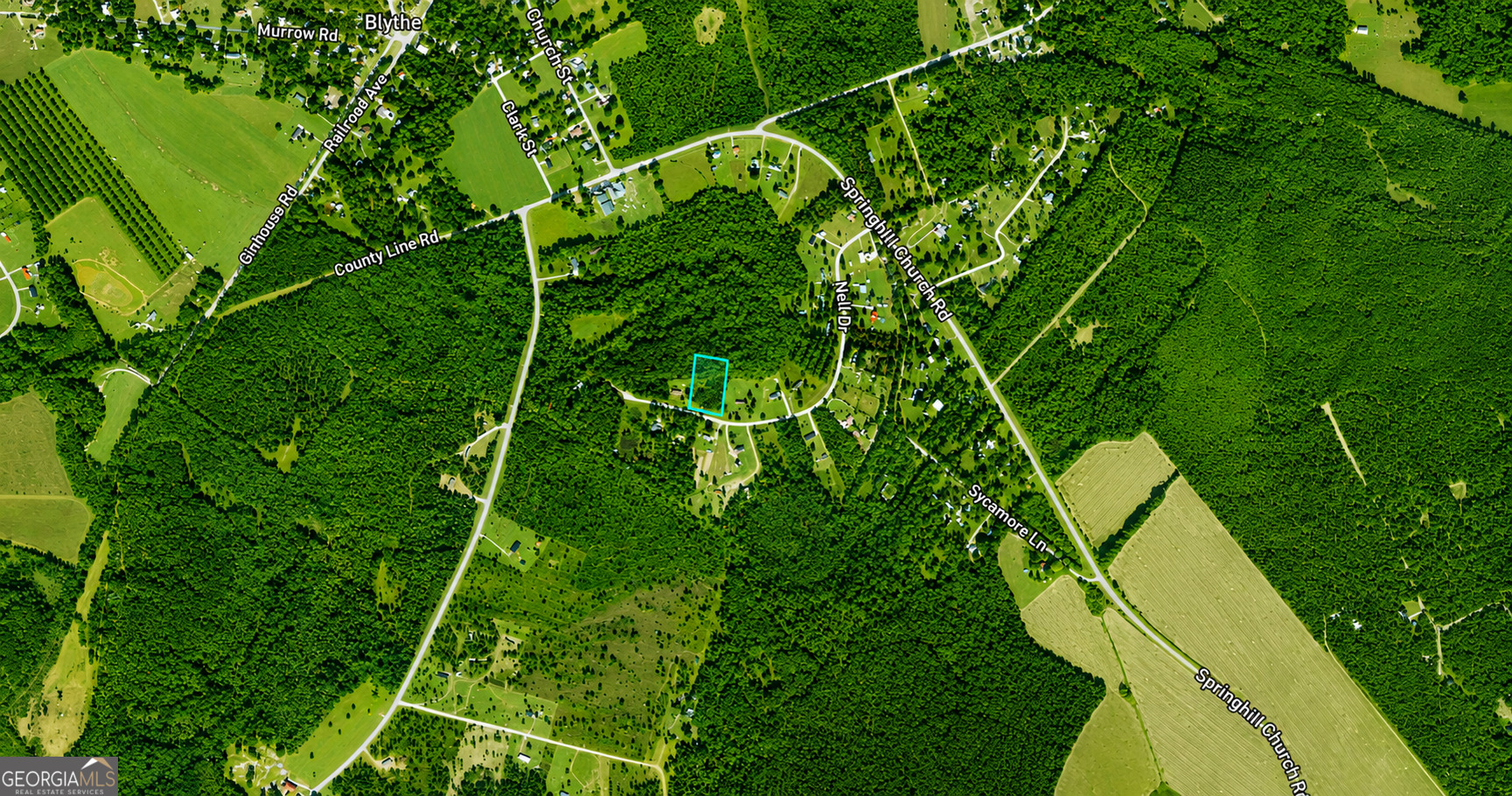 1.99 Acres Nell Drive Property Photo 1