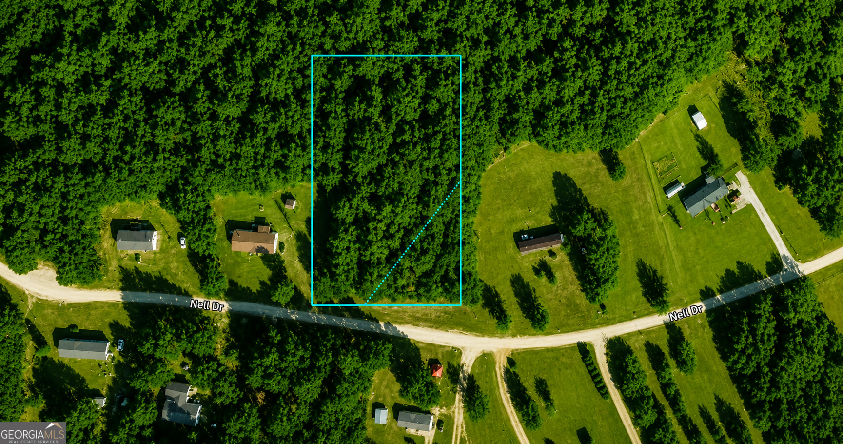 1.99 Acres Nell Drive Property Photo 6