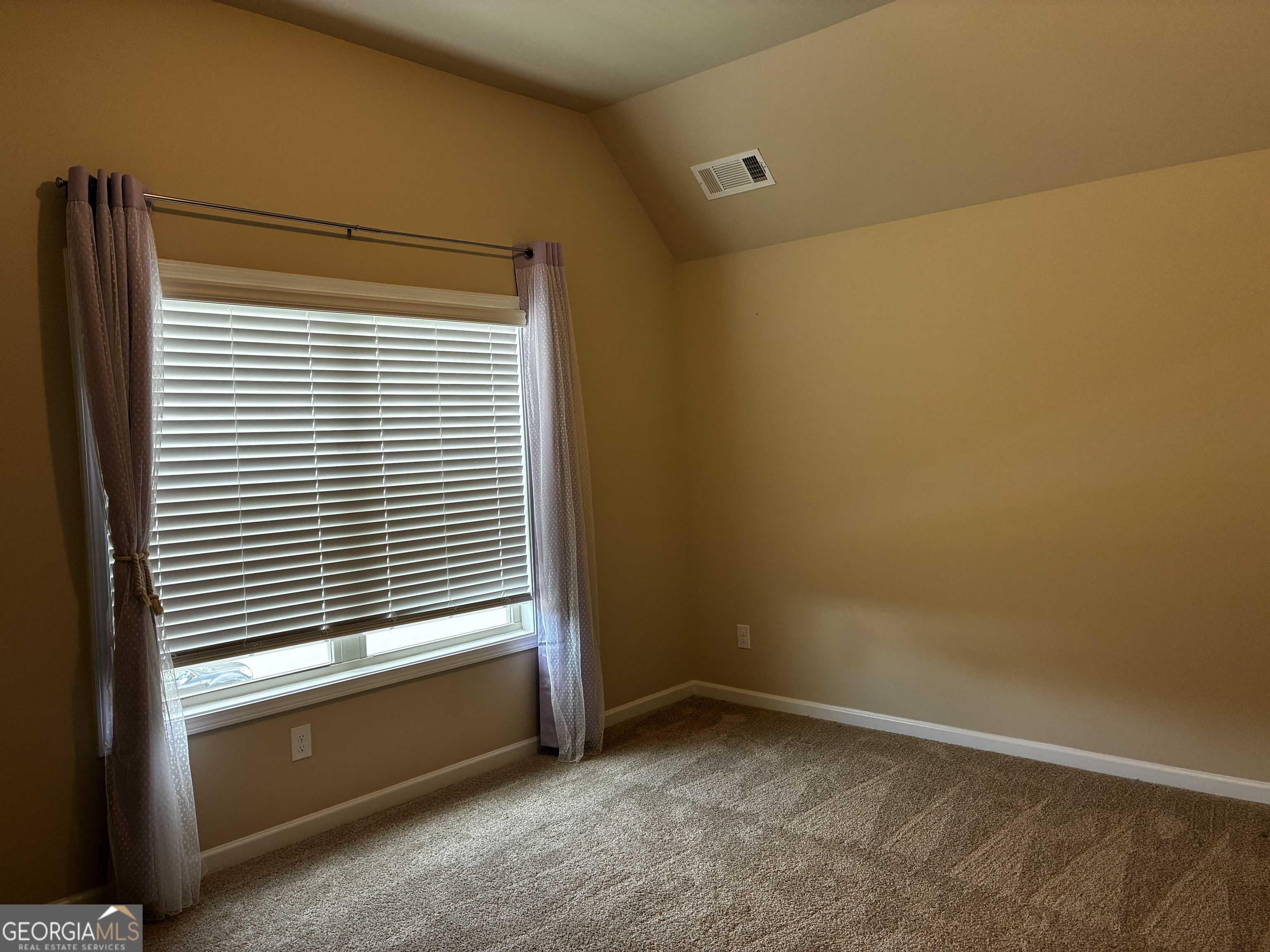 109 Armory Creek Drive Property Photo 13