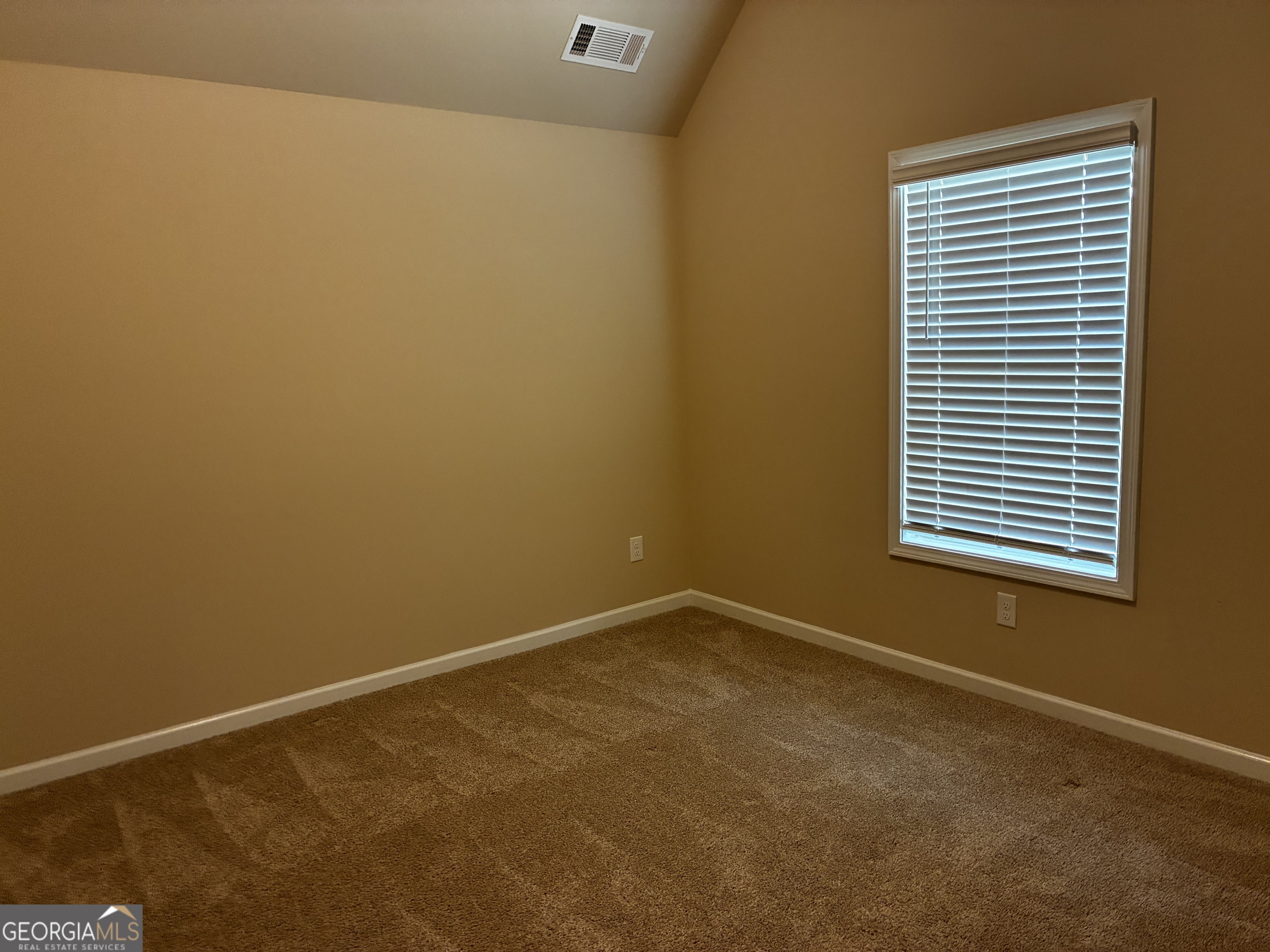 109 Armory Creek Drive Property Photo 14