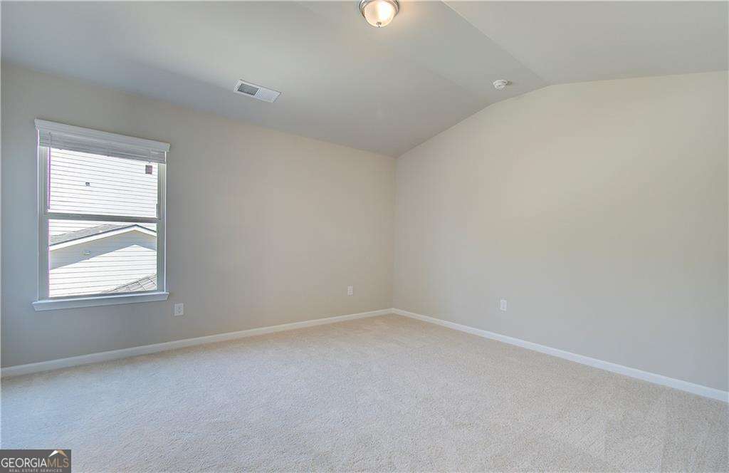 100 Haverling Pass Property Photo 19