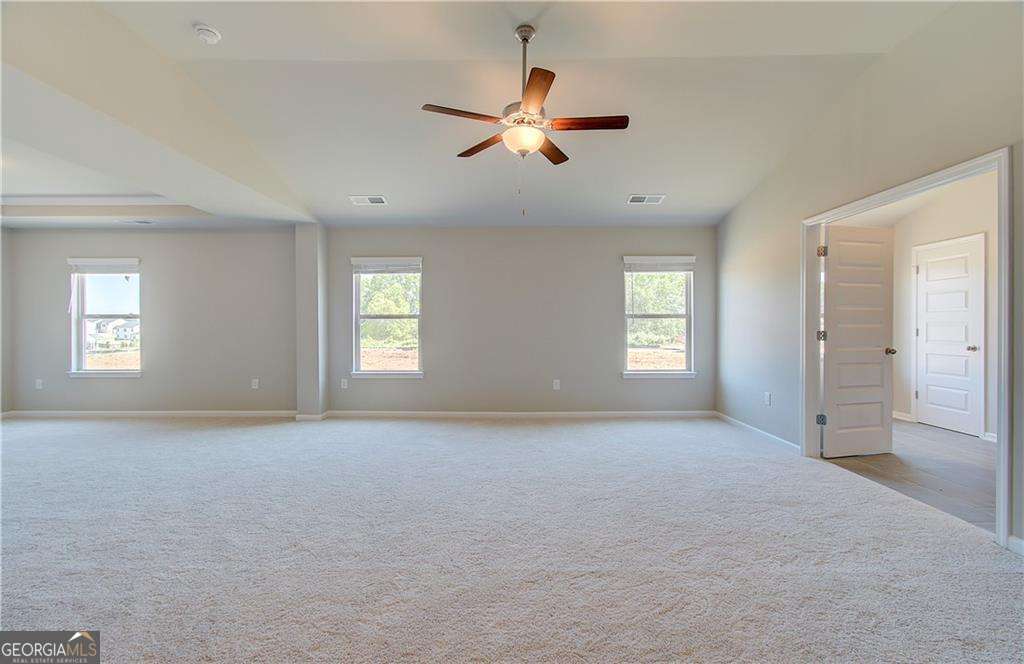 100 Haverling Pass Property Photo 21