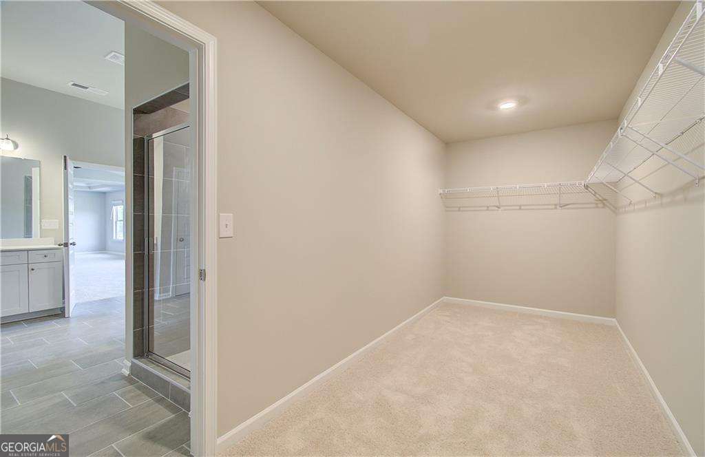 100 Haverling Pass Property Photo 28
