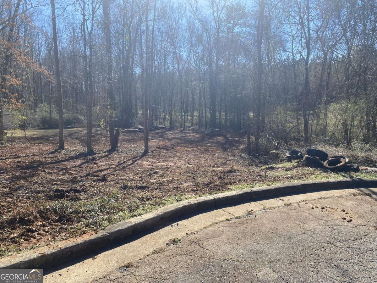 0 Hannah Court Lot 13 Property Photo 1