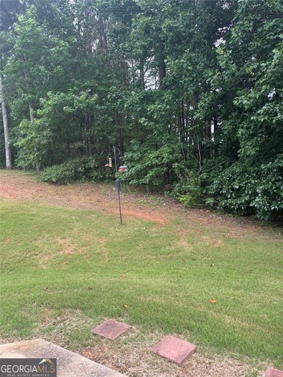 1885 Winding Crossing Trail Property Photo 10