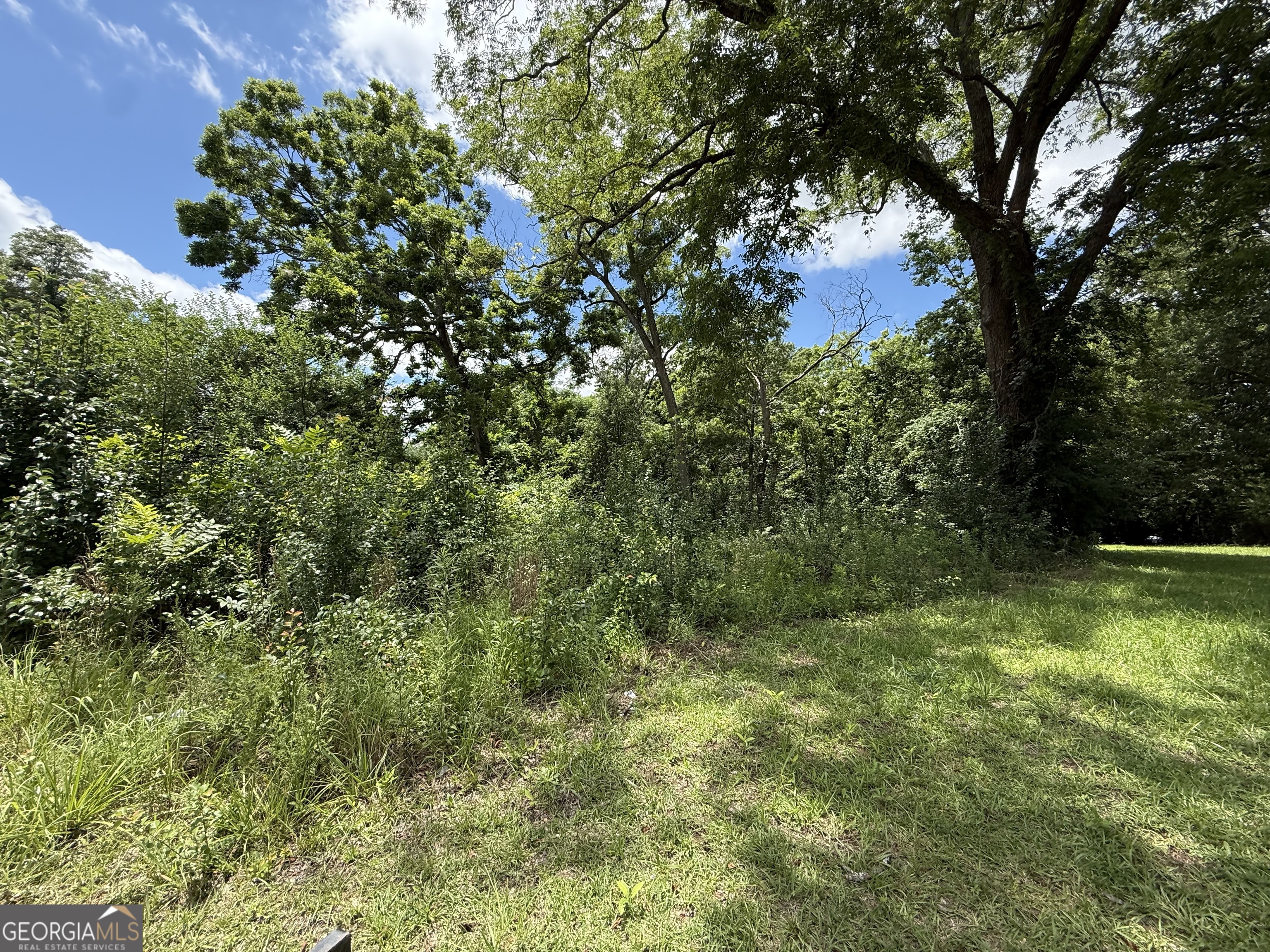 0 Mill Street Property Photo 1