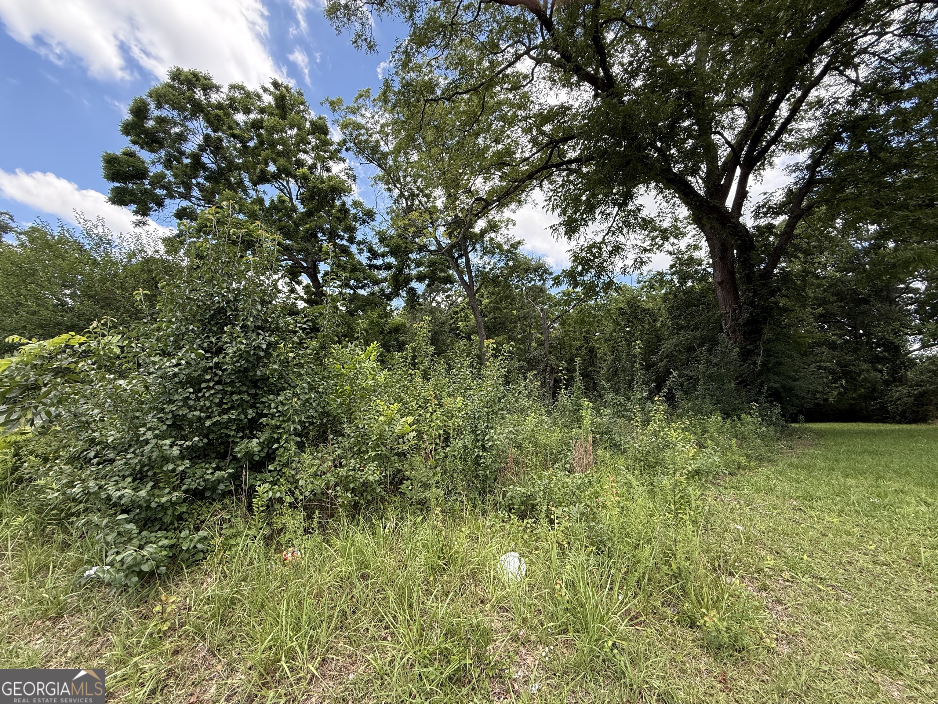 0 Mill Street Property Photo 3
