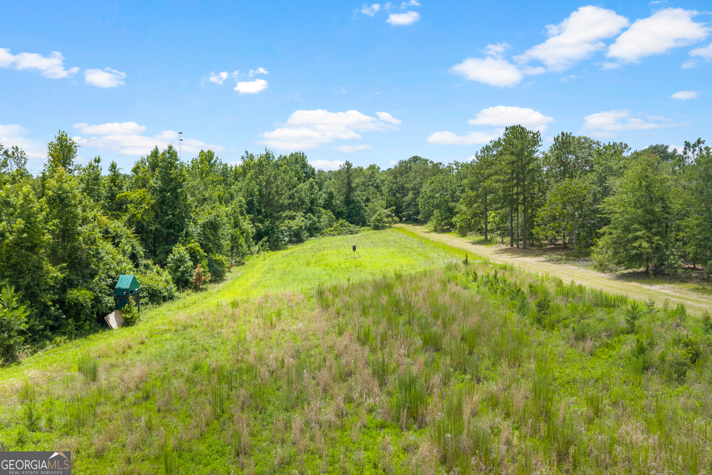 854 Bell Road Property Photo 19