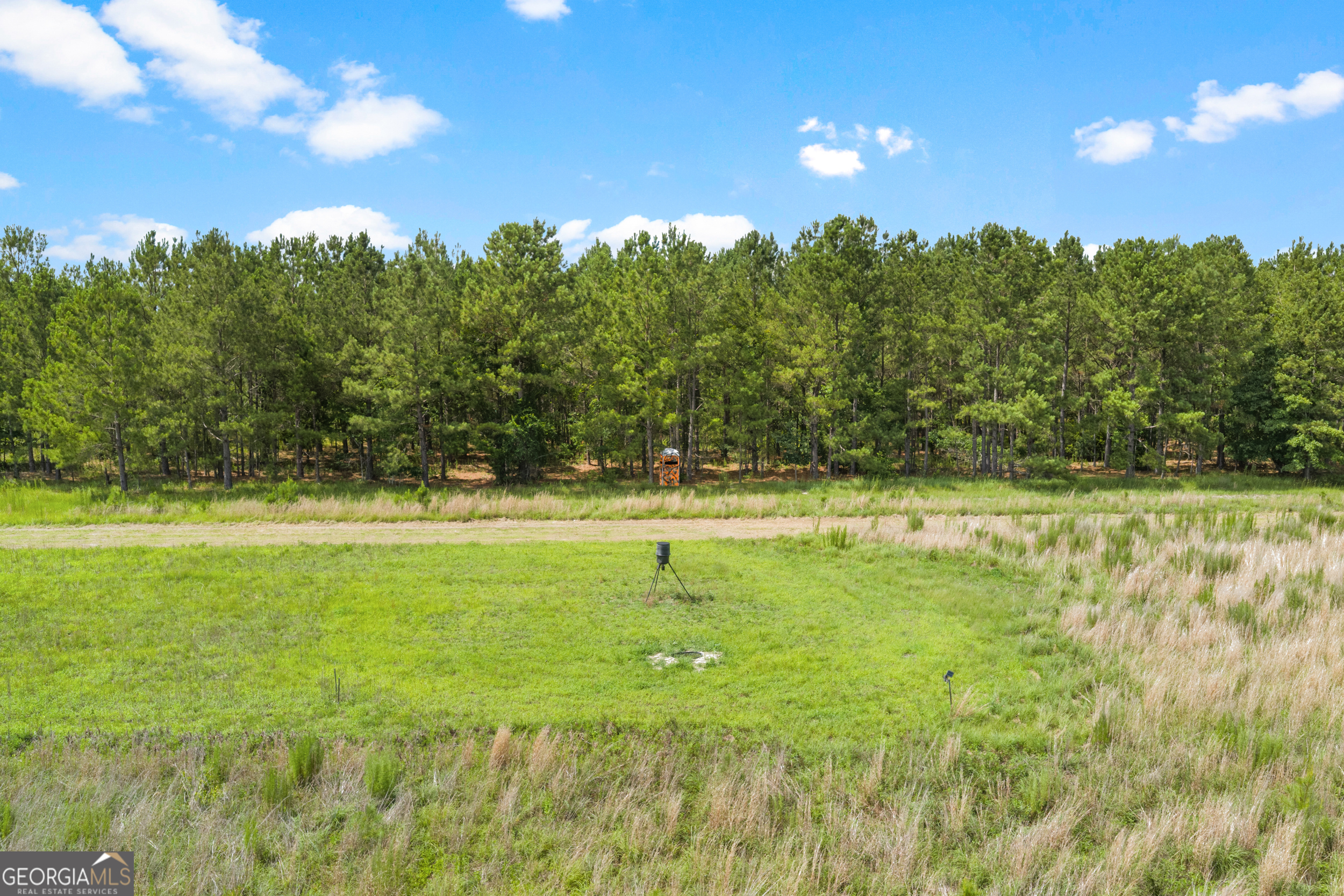 854 Bell Road Property Photo 35