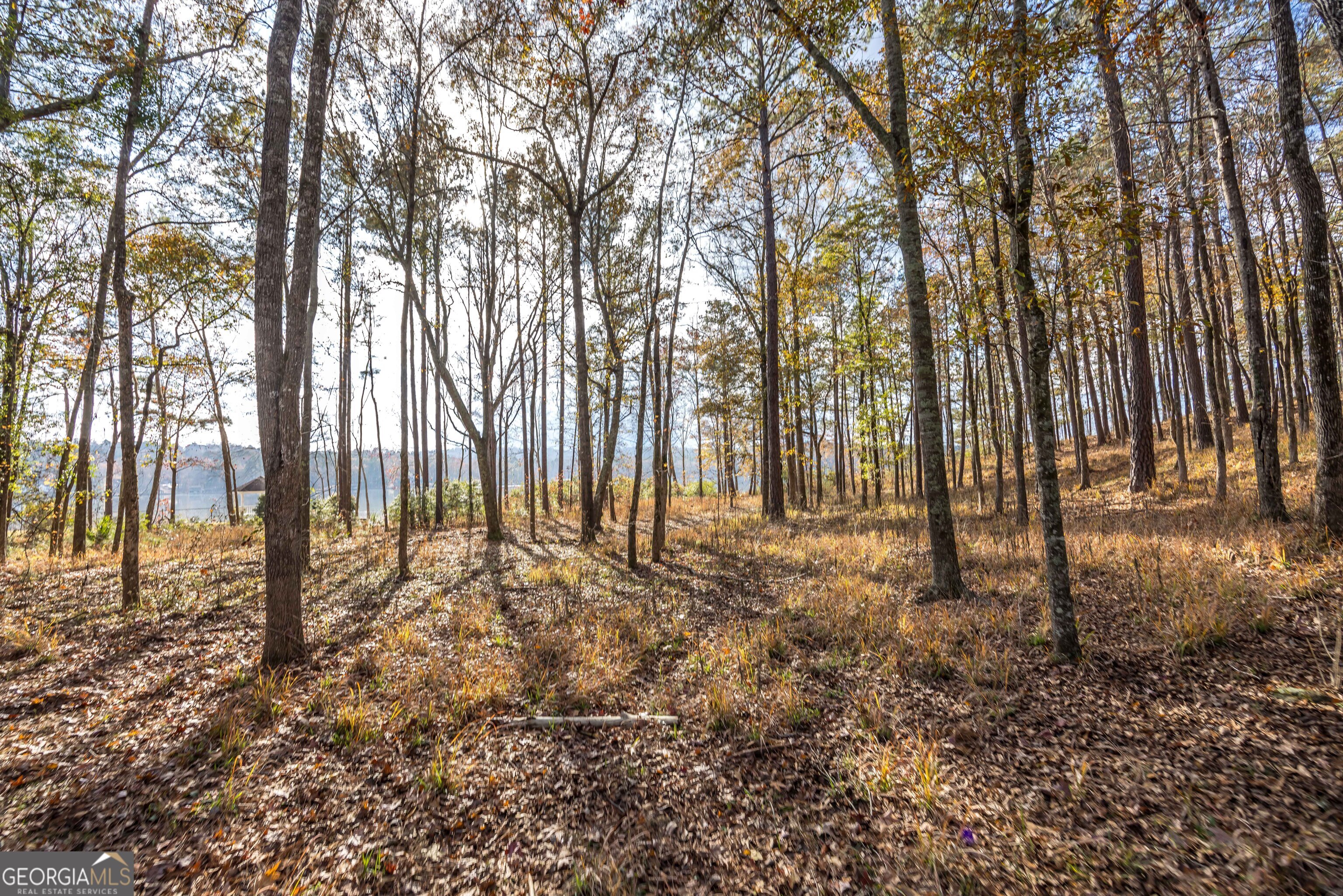 7600 Rolling Bend Road Property Photo 11