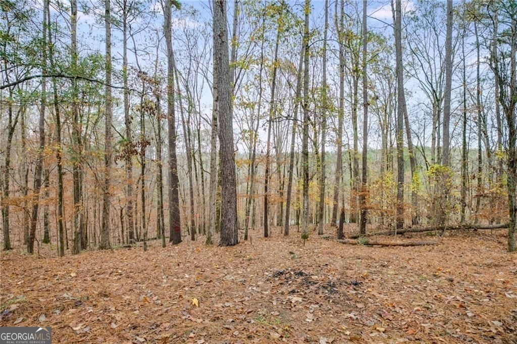 155 Indian Bend Drive Property Photo 45