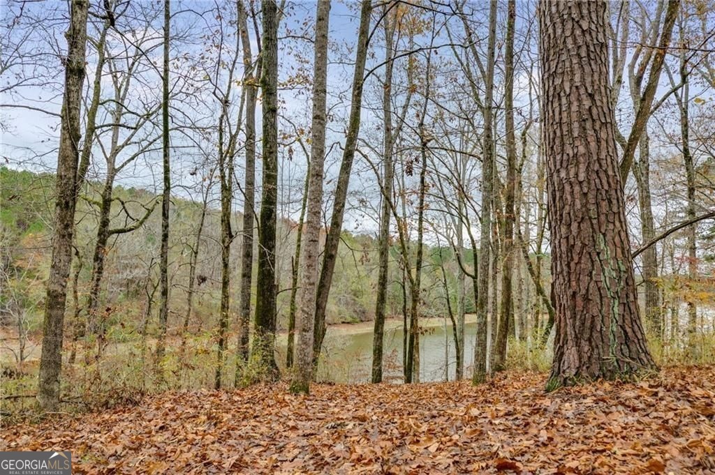 155 Indian Bend Drive Property Photo 46