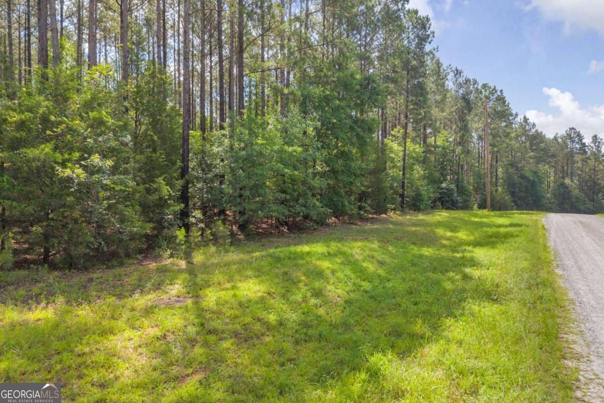 0 White Owl Drive Property Photo 11