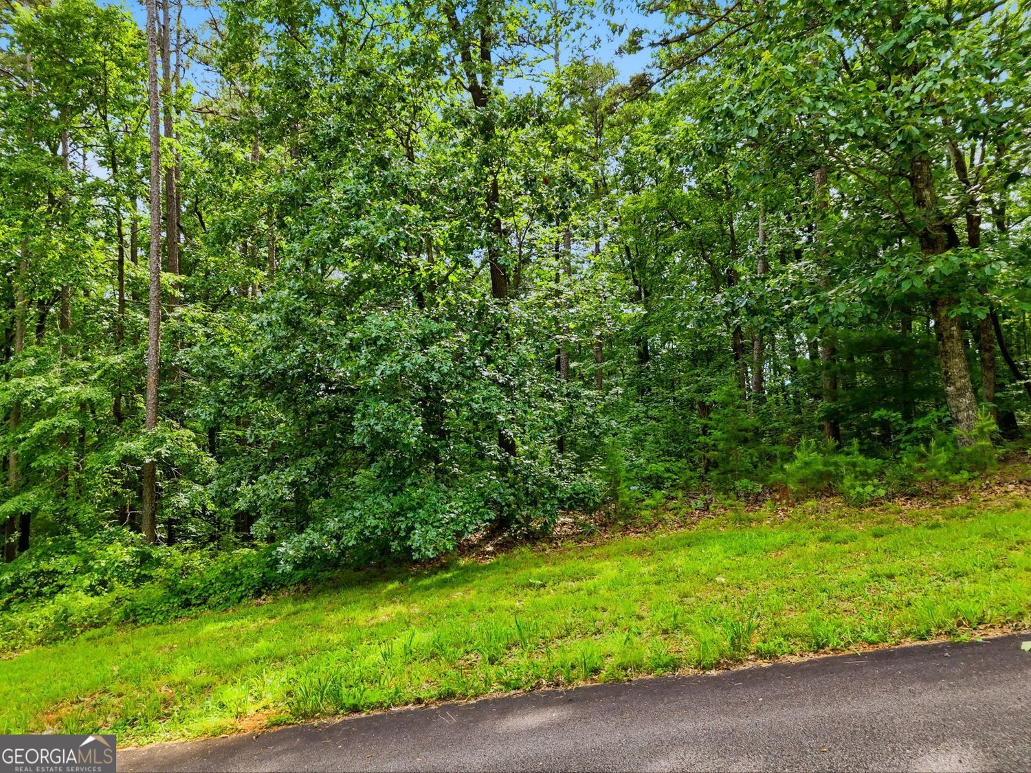 Lot 11 Weeks Drive Property Photo 7