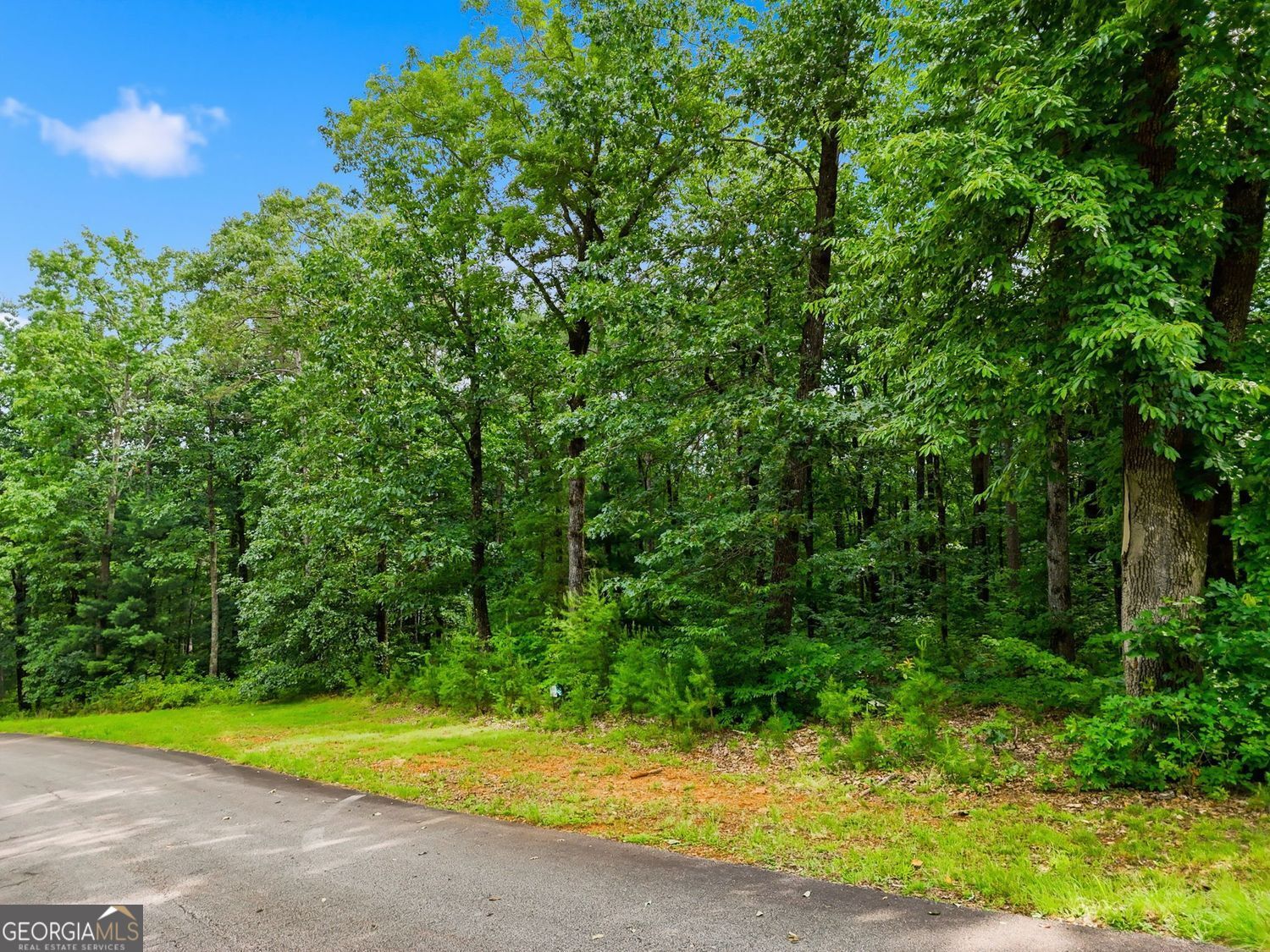 Lot 11 Weeks Drive Property Photo 8