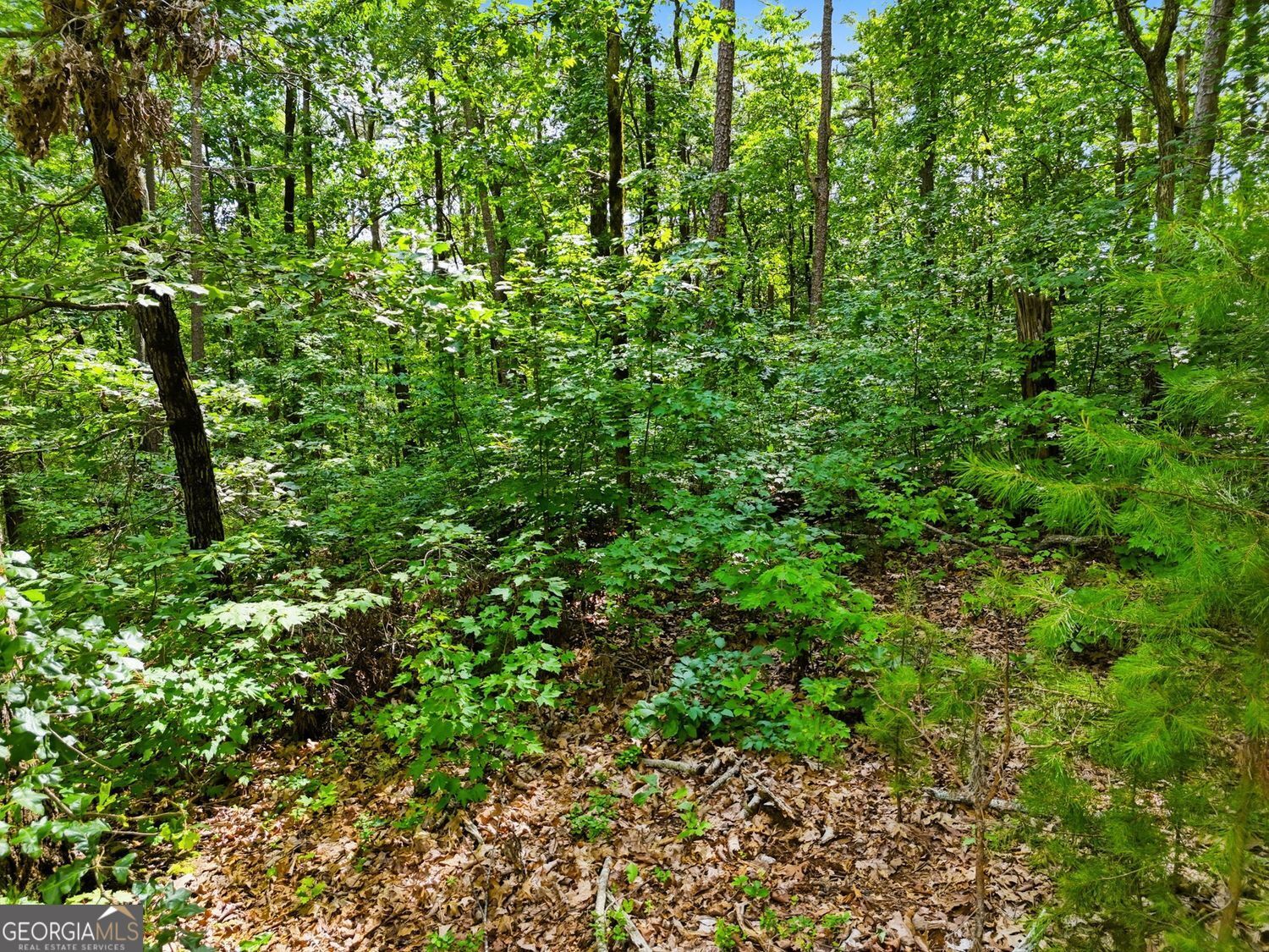 Lot 11 Weeks Drive Property Photo 9