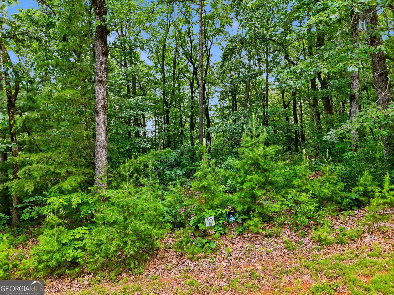 Lot 11 Weeks Drive Property Photo 10