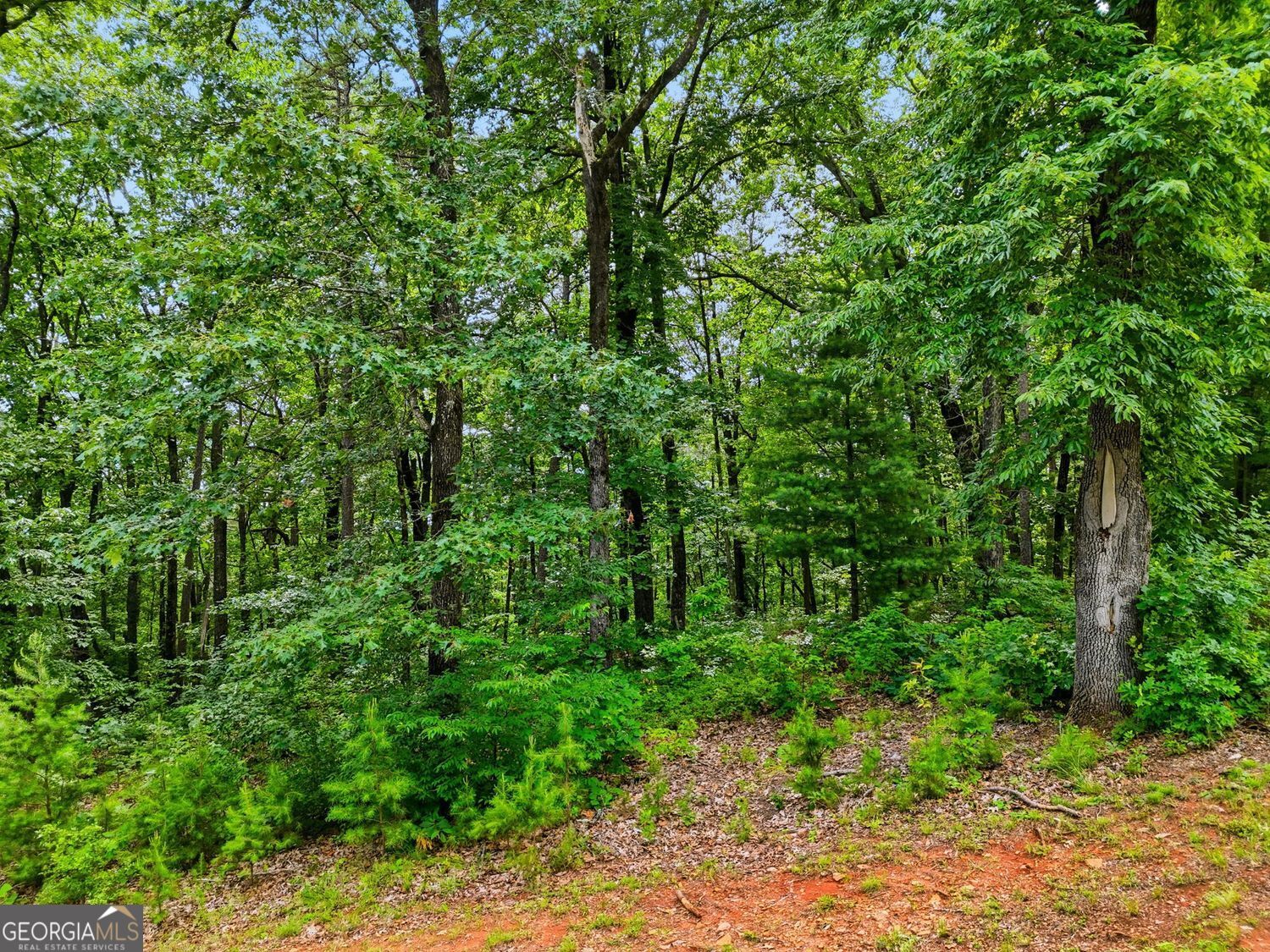 Lot 11 Weeks Drive Property Photo 13